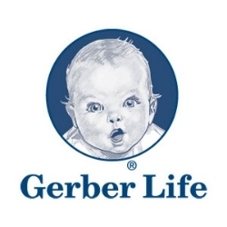 gerber life insurance for adults
