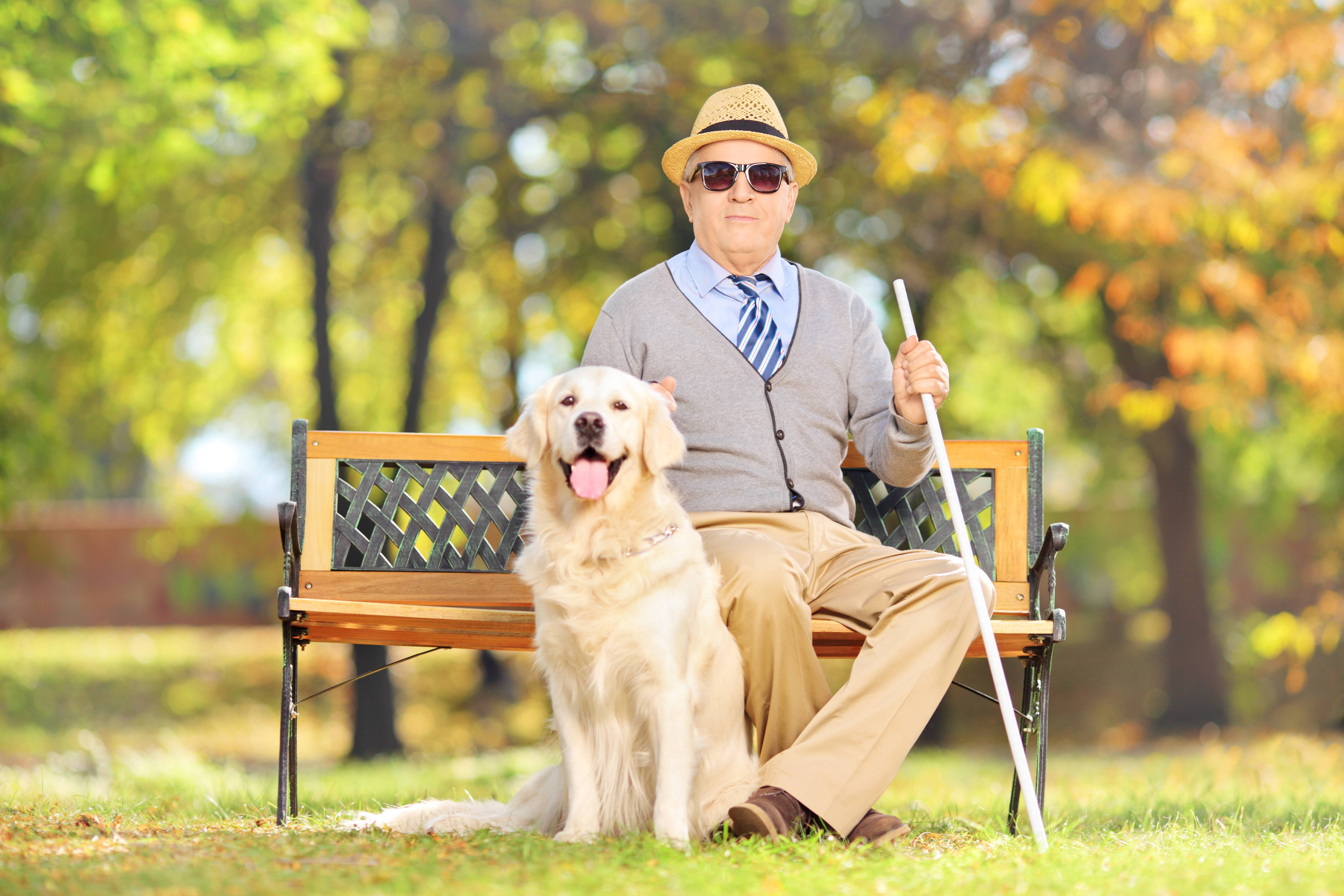 Burial Insurance Options for the Blind